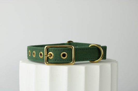 Green dog collar