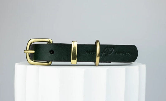 Are Leather Dog Collars Good for Dogs?