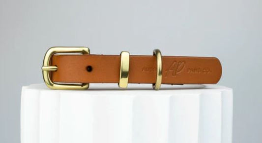 How to Clean and Maintain Your Leather Dog Collar: A Comprehensive Guide