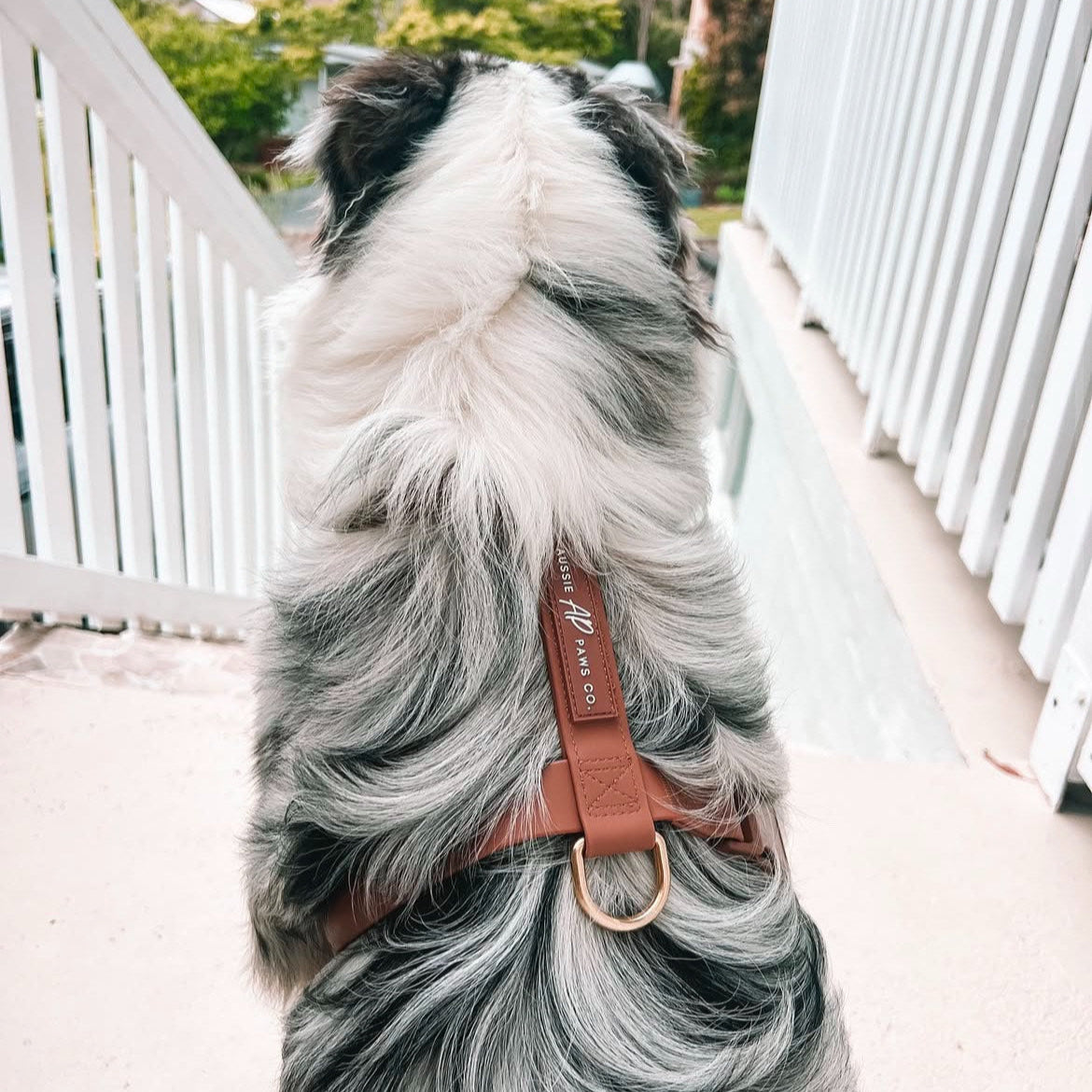 Brown Waterproof Harness