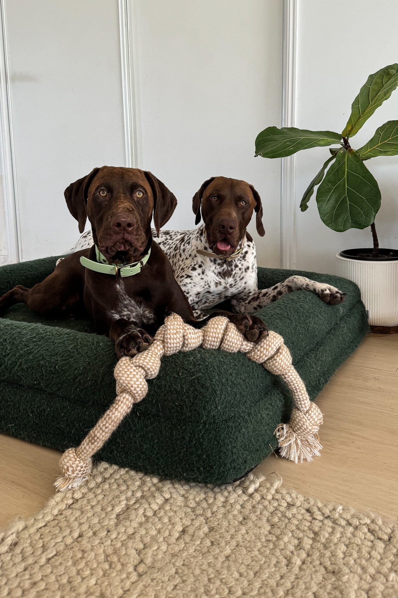 Long Eco-Friendly Hemp Rope Dog Pull Toy Dog Toy Aussie Paws Co