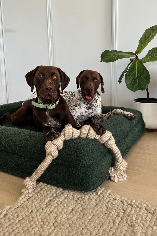 Long Eco-Friendly Hemp Rope Dog Pull Toy Dog Toy Aussie Paws Co