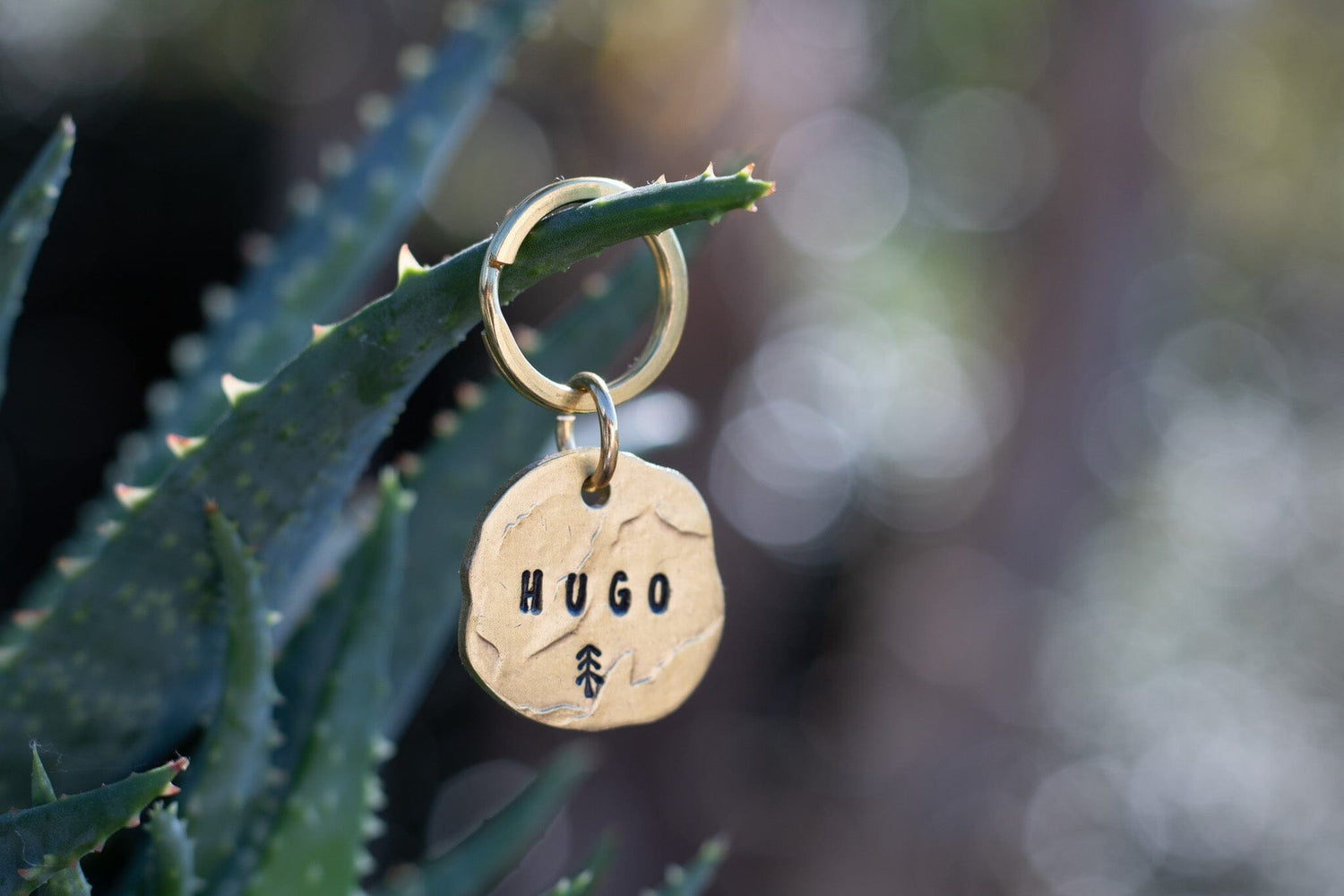 dog pet id tag