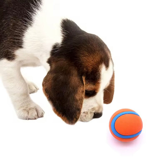 durable dog ball with beagle