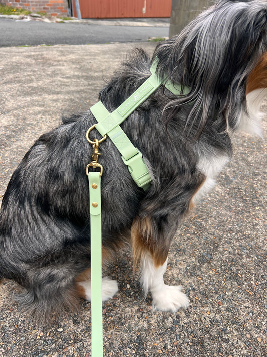 green waterproof dog harness 4