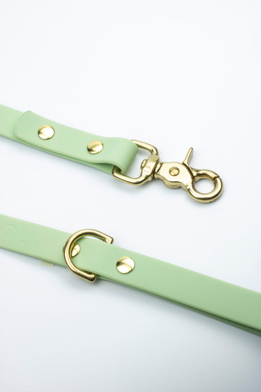 Sage green waterproof dog leash