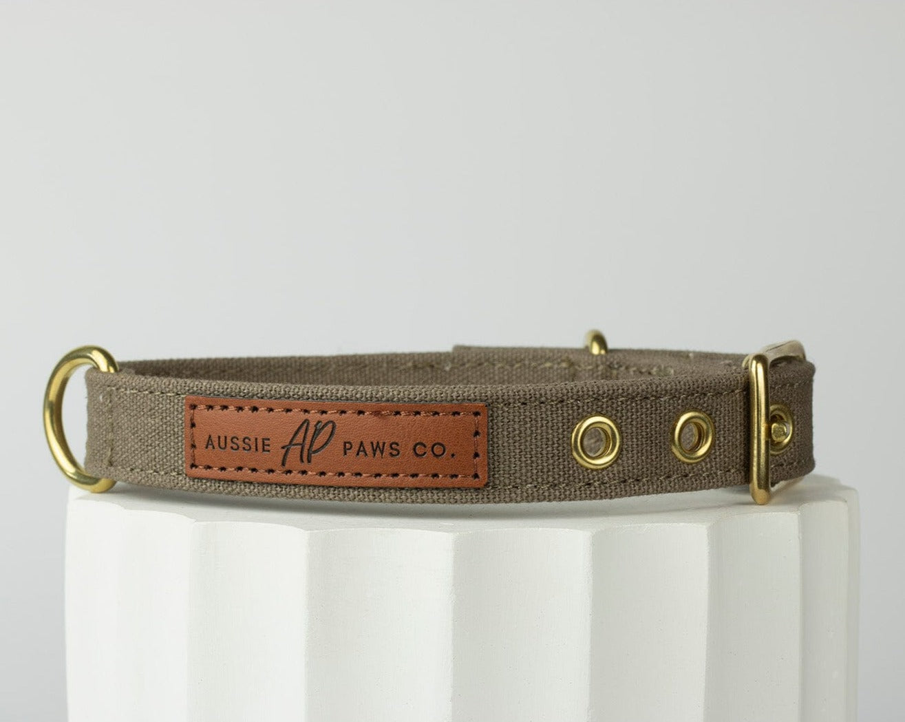 brown canvas dog collar