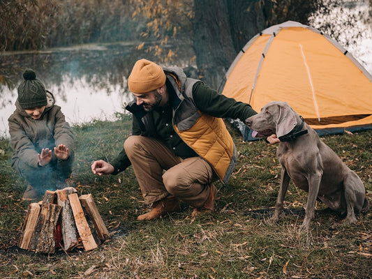 Discover the Best Dog-Friendly Campsites in NSW