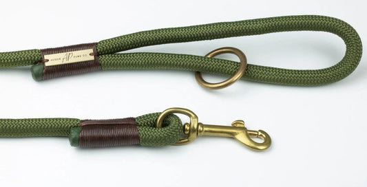Nature Enthusiasts Rejoice: The Perfect Nylon Climbing Rope Lead for Your Canine Companion