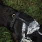 Black waterproof harness