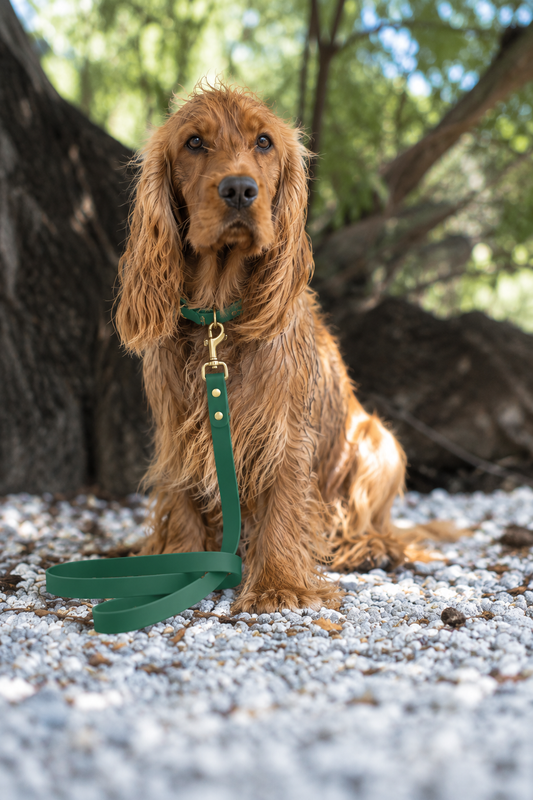 Waterproof Dog Collar | Alpine Green