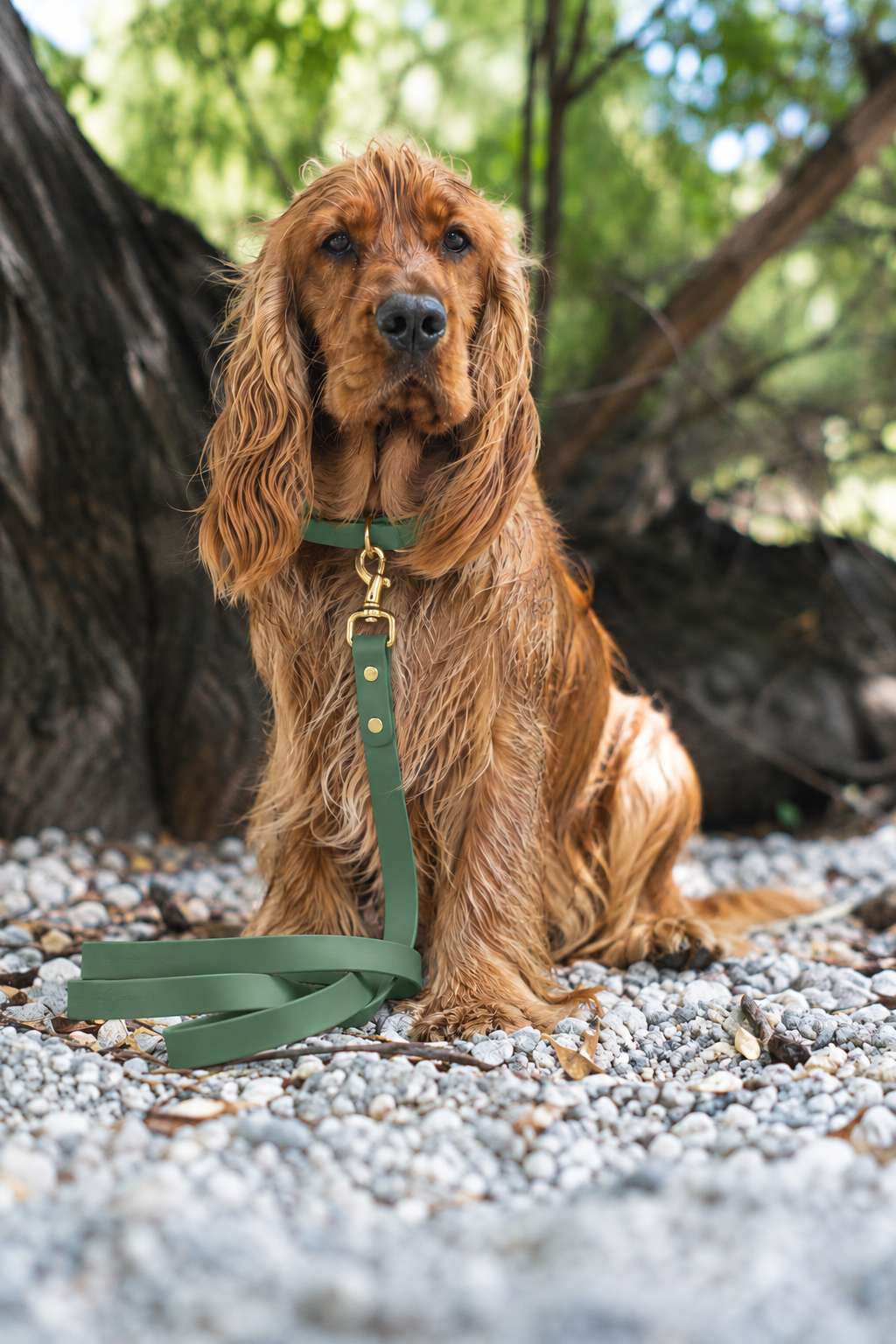 Waterproof Dog Leash | Alpine Green