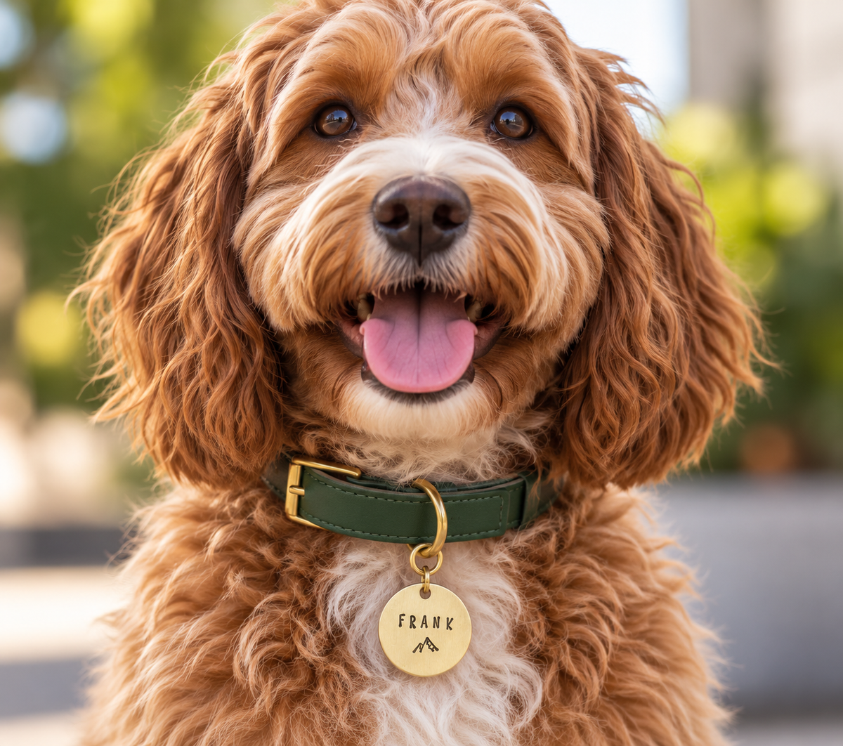 Personalised Pet Tag | Mountain