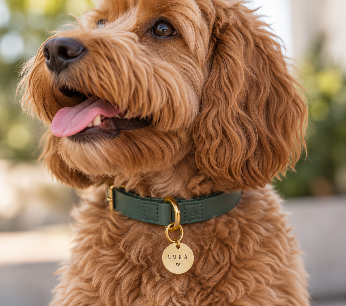 Personalised Pet Tag | Love