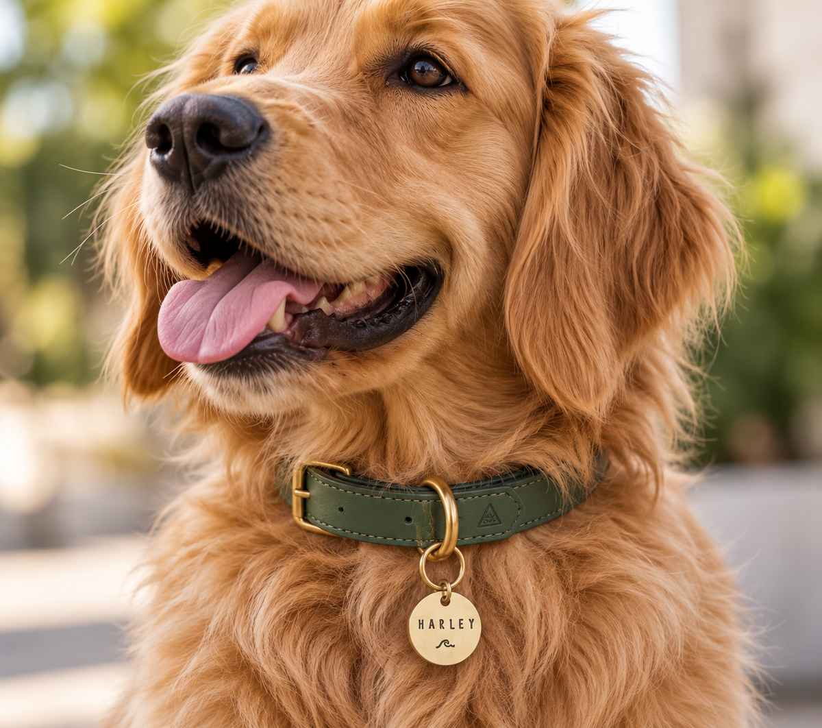 Personalised Pet Tag | Wave