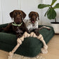 Long Eco-Friendly Hemp Rope Dog Pull Toy Dog Toy Aussie Paws Co 