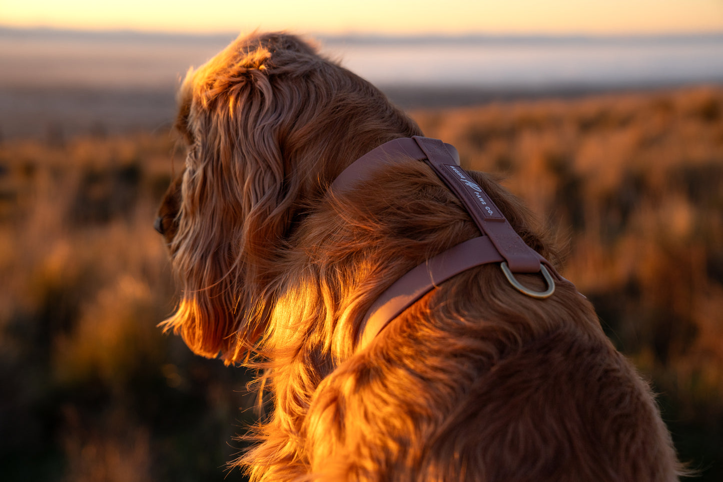 brown waterproof harness 5