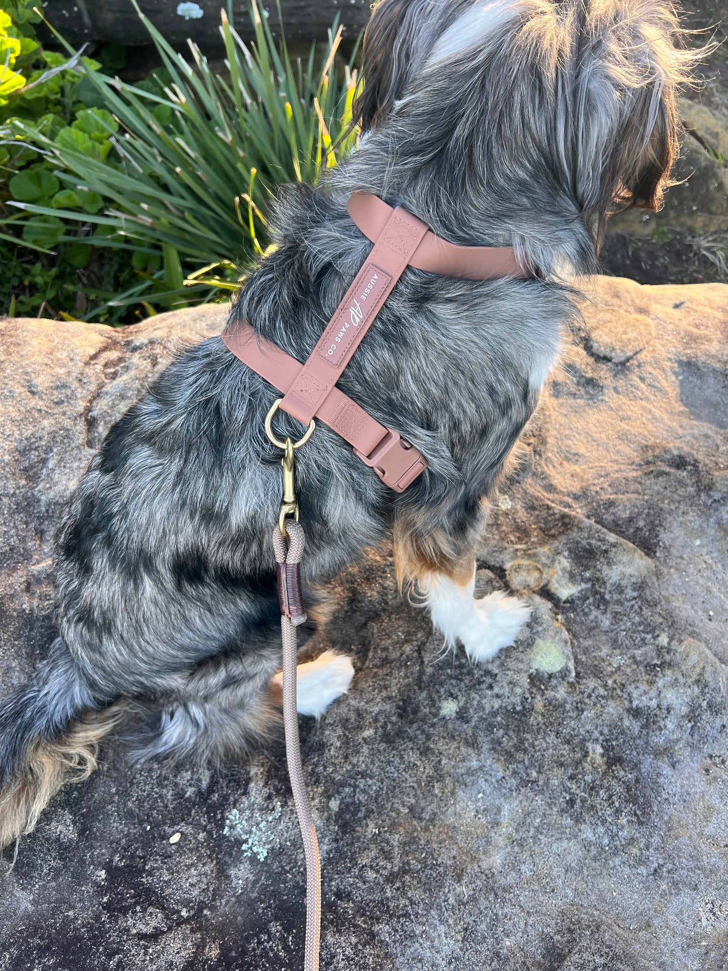 brown waterproof harness 7