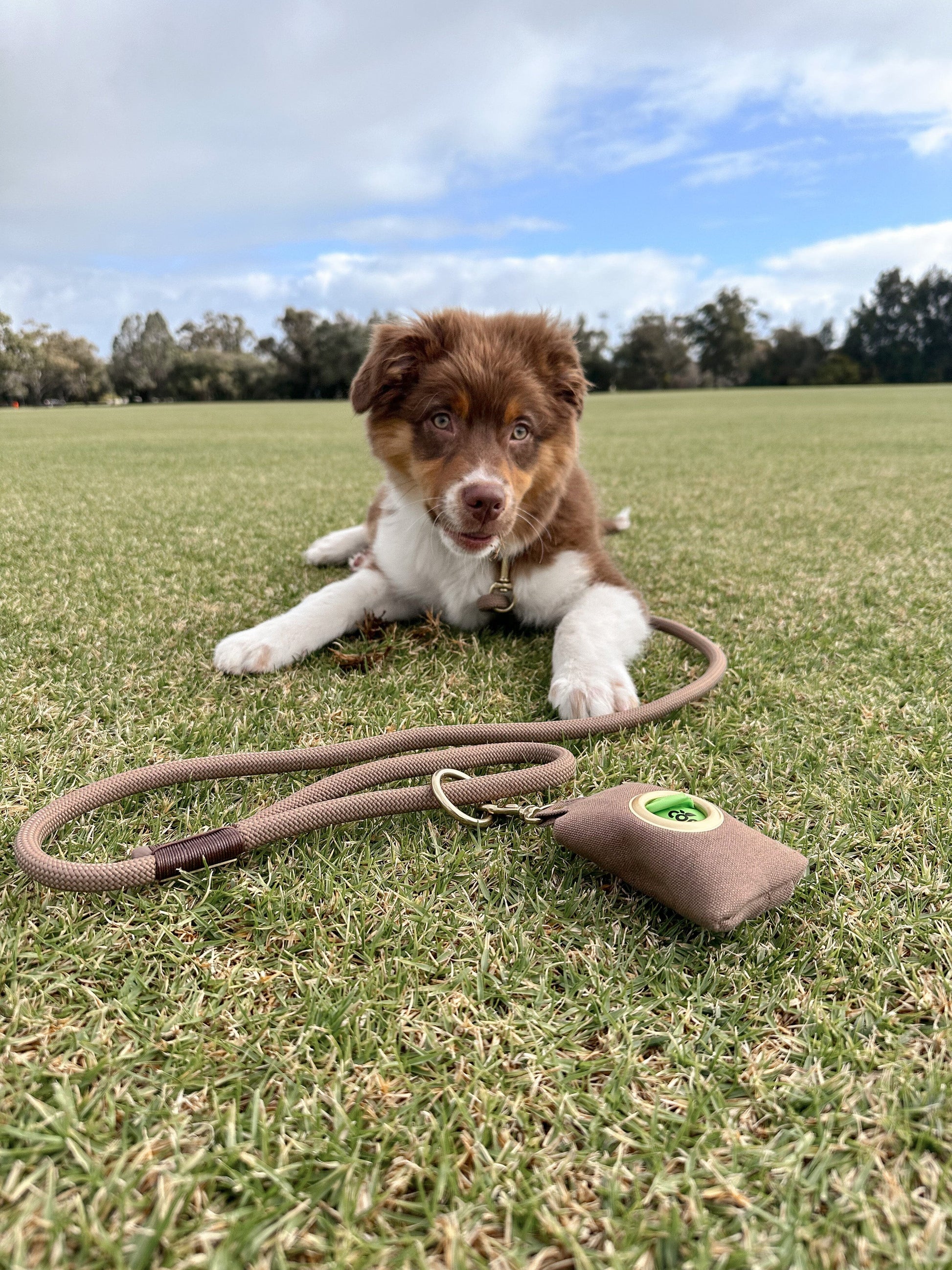 Rope Dog Leash | Mocca Brown dog leash Aussie Paws Co 