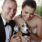 dog bow tie black wedding