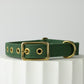 Green dog collar 