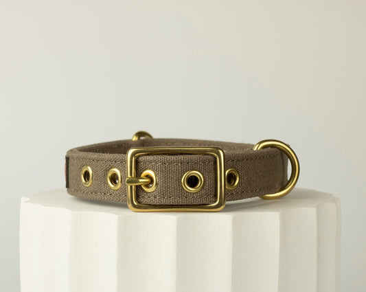 brown dog collar