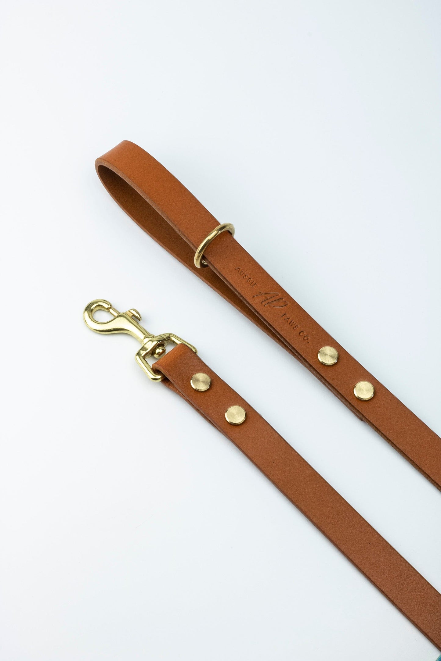 brown leather dog lead