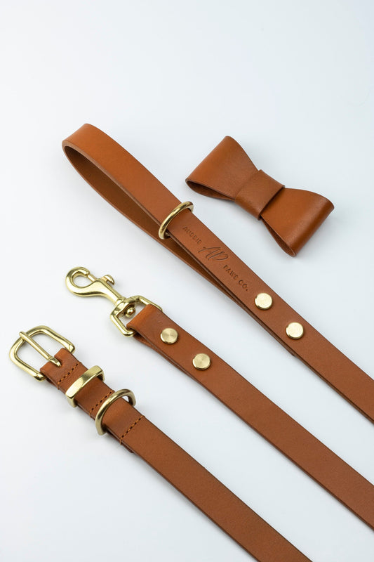 brown leather dog lead and collar