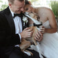 dog bow tie black wedding