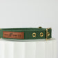 green canvas dog collar