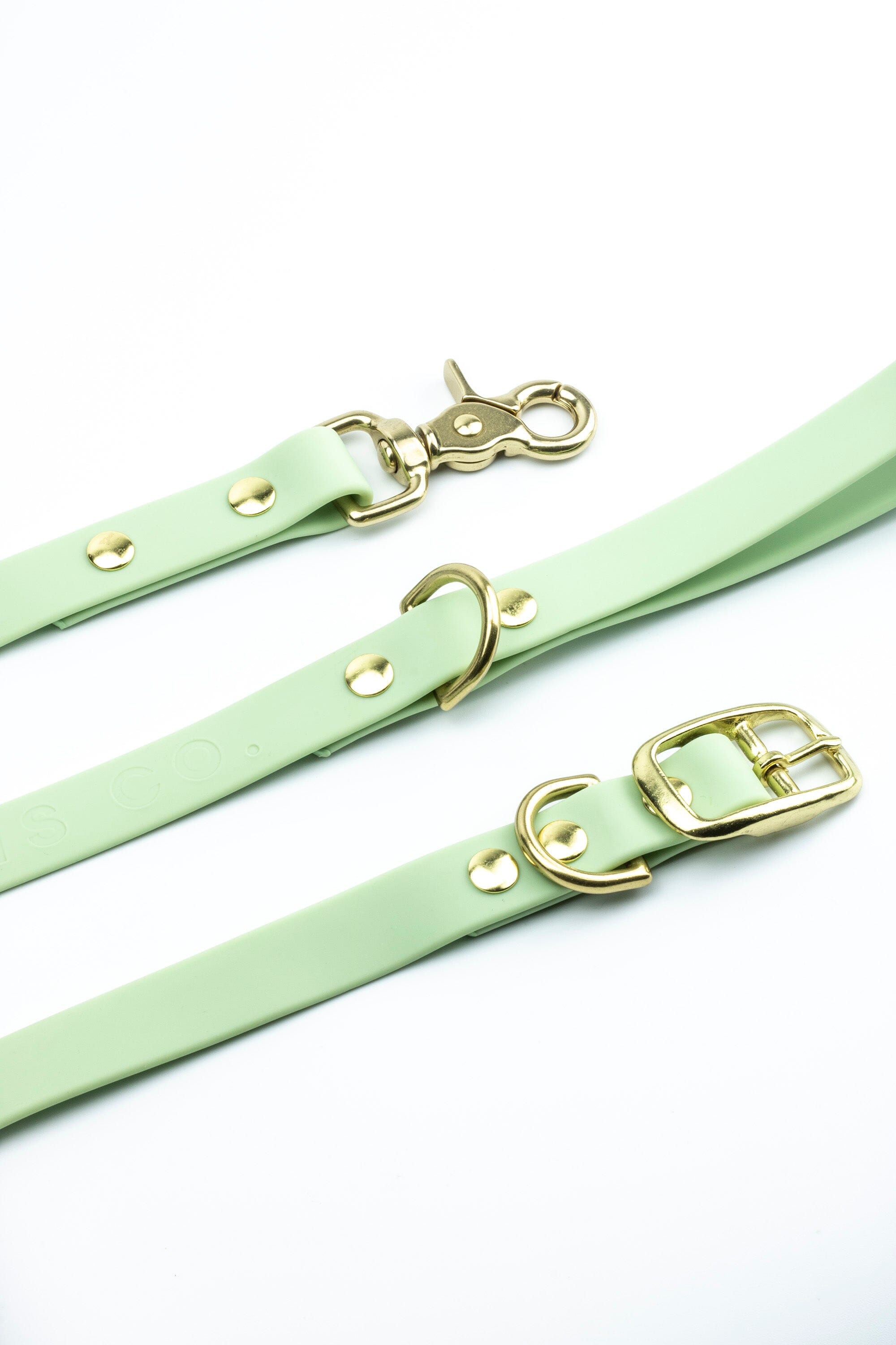 Green dog best sale collar and leash